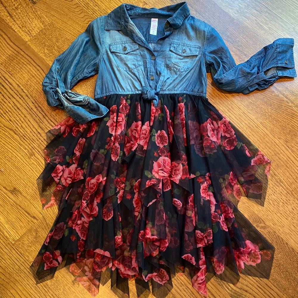Adorable dress- worn once and in great condition